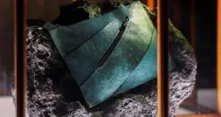 tas tangan dari kulit dinosaurus memicu kontroversi ilmiah ini alasannya index